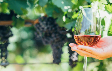 Vino